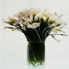 Seller Image